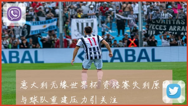 意大利无缘世界杯 资格赛失利原因与球队重建压力引关注